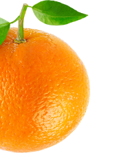 Shape Image